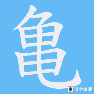 《亀》的笔顺动画写字动画演示