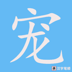《宠》的笔顺动画写字动画演示