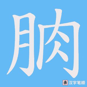 《朒》的笔顺动画写字动画演示