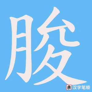 《朘》的笔顺动画写字动画演示