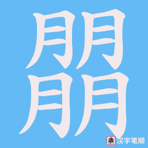 《朤》的笔顺动画写字动画演示