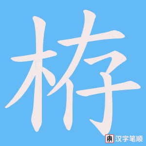 《栫》的笔顺动画写字动画演示