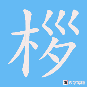 《桚》的笔顺动画写字动画演示