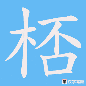《桮》的笔顺动画写字动画演示