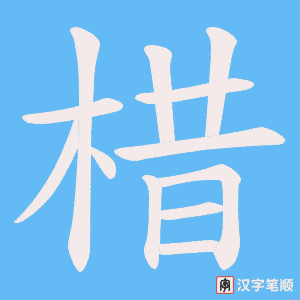 《棤》的笔顺动画写字动画演示