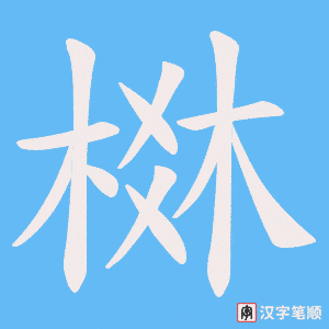 《棥》的笔顺动画写字动画演示