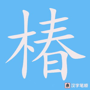 《椿》的笔顺动画写字动画演示