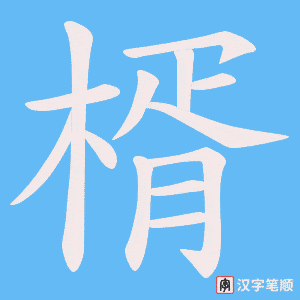 《楈》的笔顺动画写字动画演示