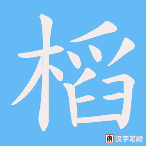 《槄》的笔顺动画写字动画演示