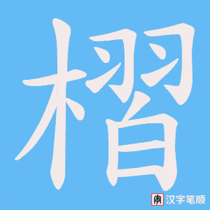 《槢》的笔顺动画写字动画演示