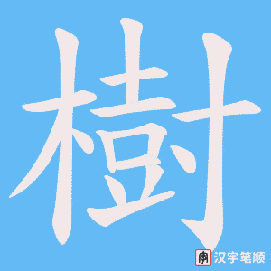 《樹》的笔顺动画写字动画演示