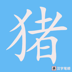 《猪》的笔顺动画写字动画演示