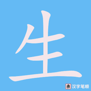 《生》的笔顺动画写字动画演示