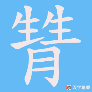 《甧》的笔顺动画写字动画演示