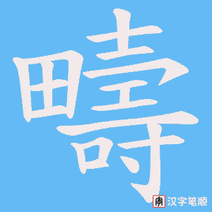《疇》的笔顺动画写字动画演示
