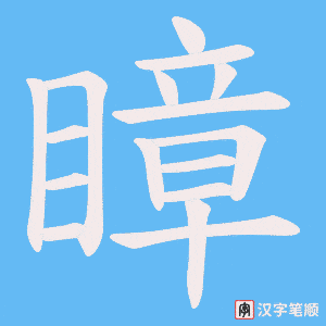 《瞕》的笔顺动画写字动画演示