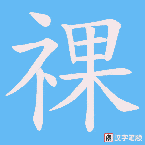 《祼》的笔顺动画写字动画演示