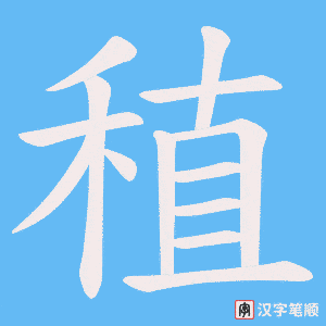 《稙》的笔顺动画写字动画演示