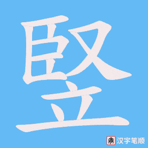 《竪》的笔顺动画写字动画演示