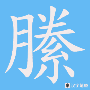《縢》的笔顺动画写字动画演示