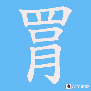 《罥》的笔顺动画写字动画演示
