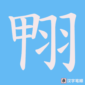 《翈》的笔顺动画写字动画演示
