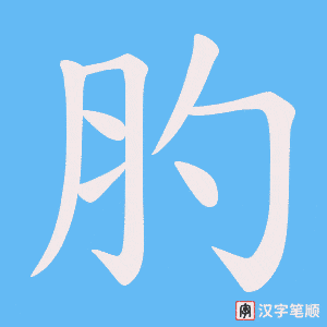 《肑》的笔顺动画写字动画演示
