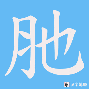 《肔》的笔顺动画写字动画演示