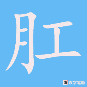 《肛》的笔顺动画写字动画演示