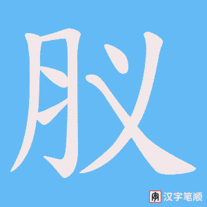 《肞》的笔顺动画写字动画演示