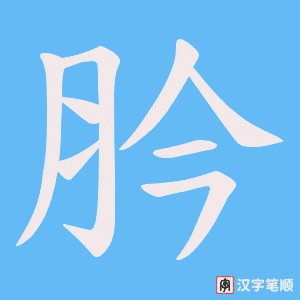 《肣》的笔顺动画写字动画演示