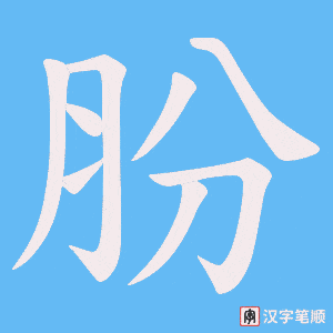 《肦》的笔顺动画写字动画演示