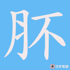 《肧》的笔顺动画写字动画演示