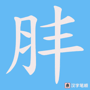 《肨》的笔顺动画写字动画演示