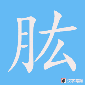 《肱》的笔顺动画写字动画演示