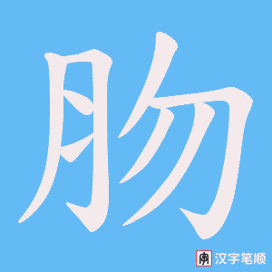 《肳》的笔顺动画写字动画演示