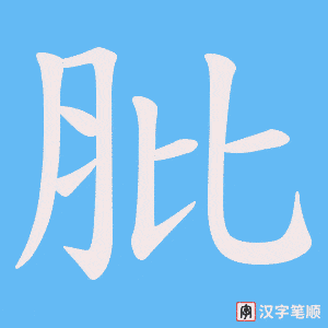 《肶》的笔顺动画写字动画演示