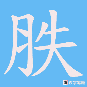 《胅》的笔顺动画写字动画演示