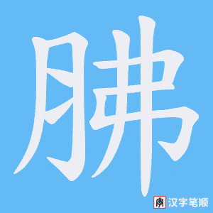 《胇》的笔顺动画写字动画演示