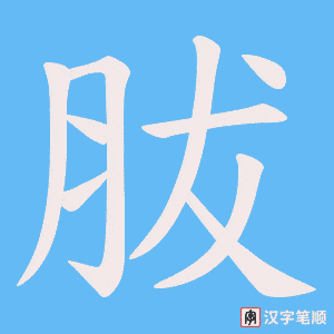 《胈》的笔顺动画写字动画演示
