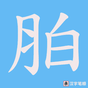 《胉》的笔顺动画写字动画演示