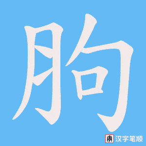 《胊》的笔顺动画写字动画演示