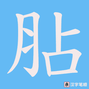 《胋》的笔顺动画写字动画演示