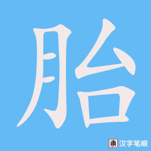 《胎》的笔顺动画写字动画演示