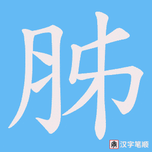 《胏》的笔顺动画写字动画演示
