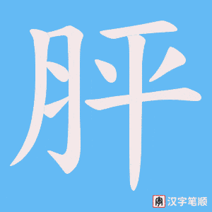 《胓》的笔顺动画写字动画演示
