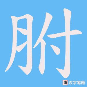 《胕》的笔顺动画写字动画演示