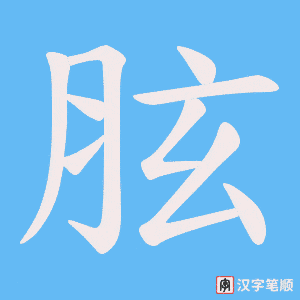 《胘》的笔顺动画写字动画演示