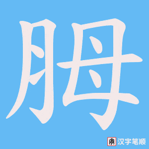 《胟》的笔顺动画写字动画演示