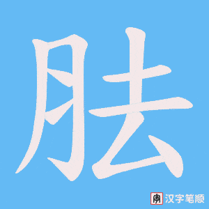 《胠》的笔顺动画写字动画演示
